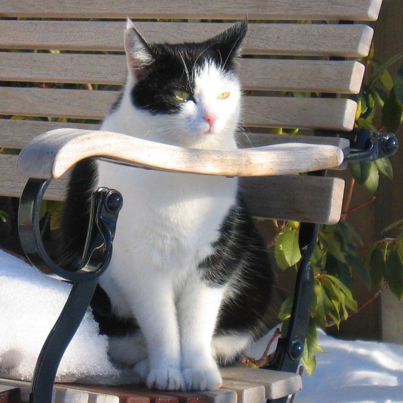 tiere19.jpg